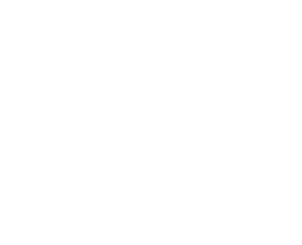 BSAZEV Group